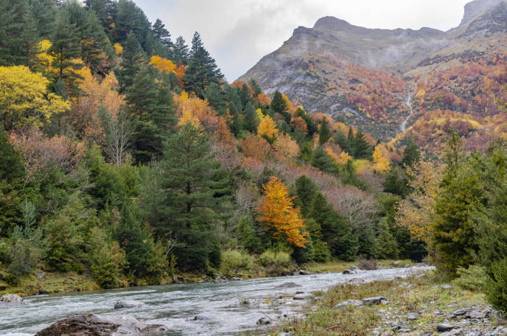 Huesca - valle de Bujaruelo 18 - rio Ara.jpg